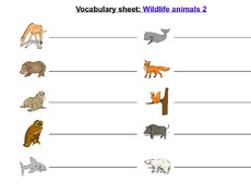 wildlife animals 2.pdf